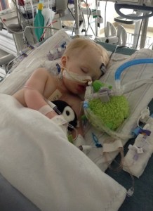 Snuggy, snoozy Wes says, "Happy Easter!"